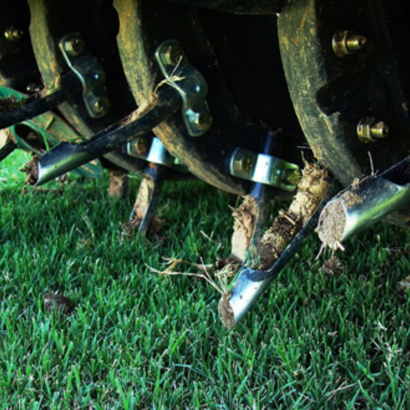 Bozeman Lawn Aeration
