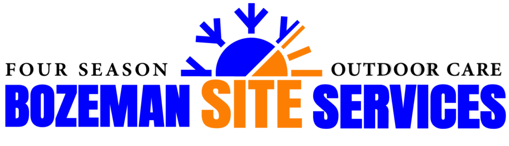 BSS Logo