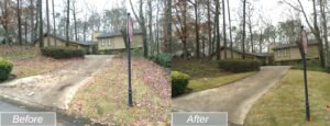Spring Cleanup
