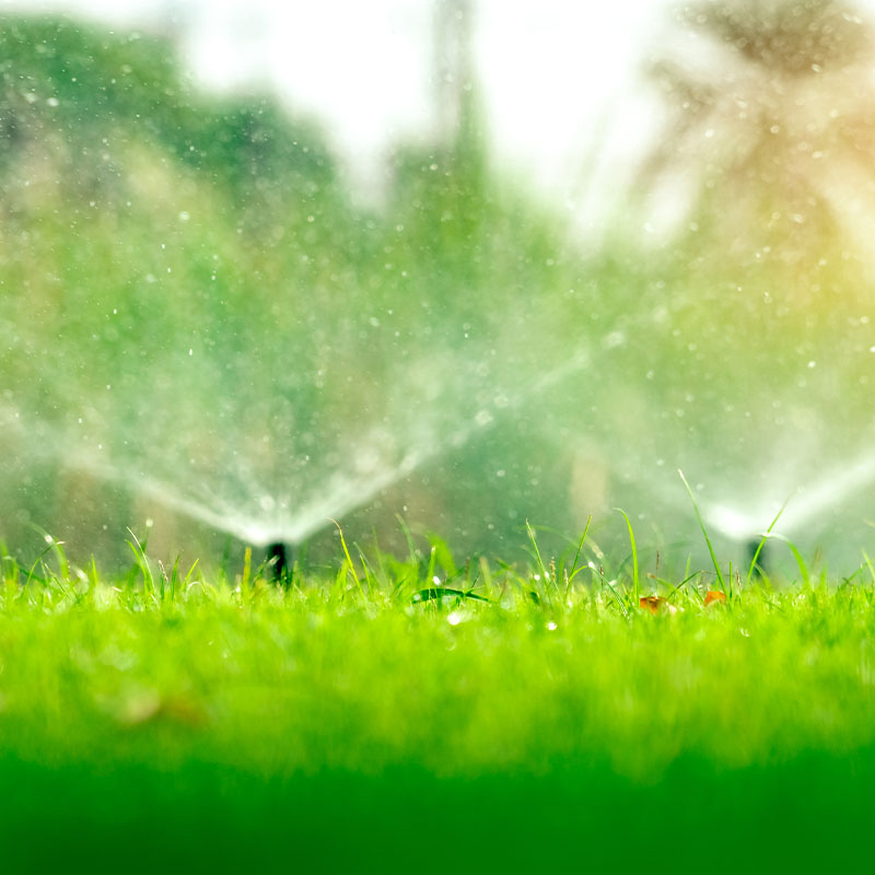 irrigation1