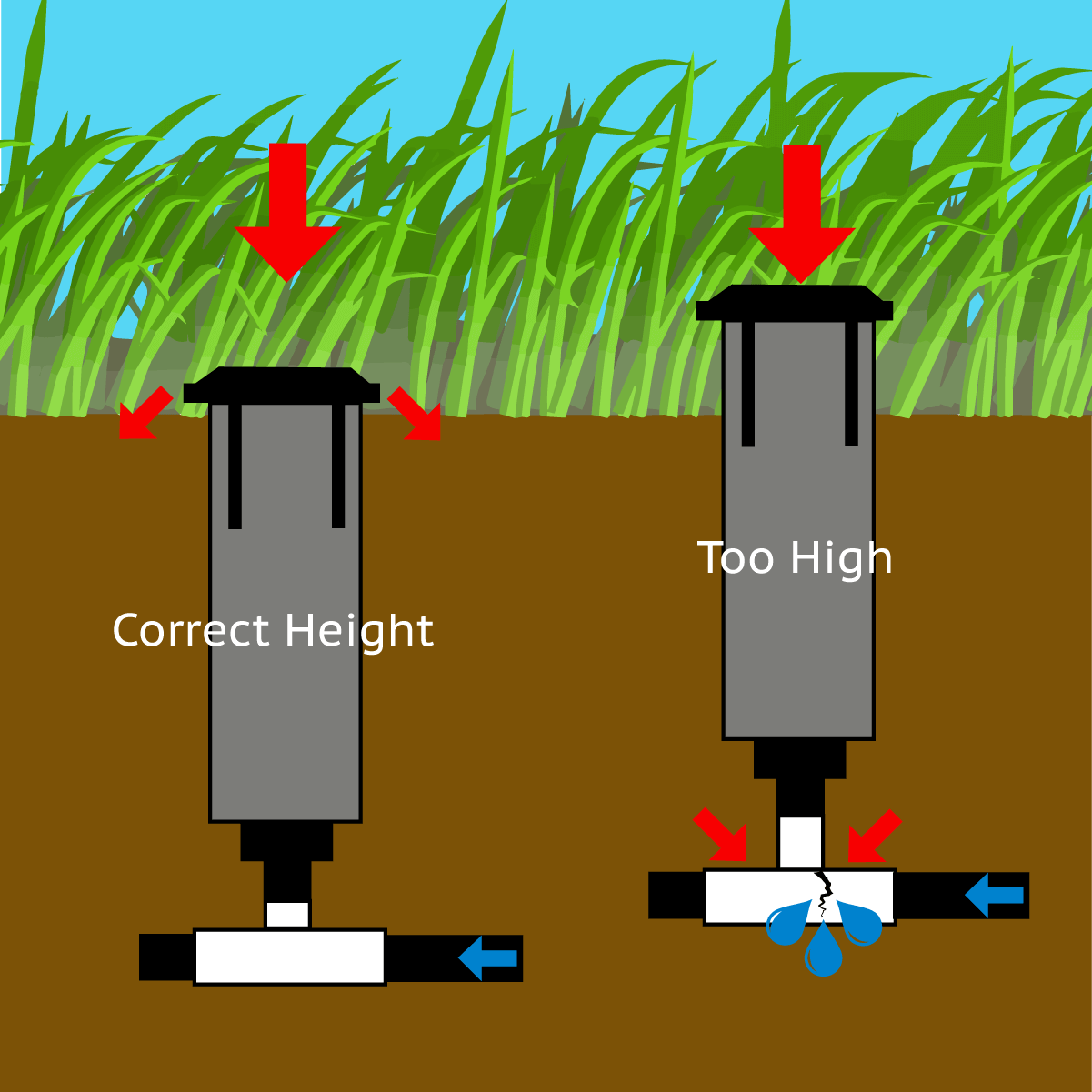 Irrigation Sprinkler Head Installation
