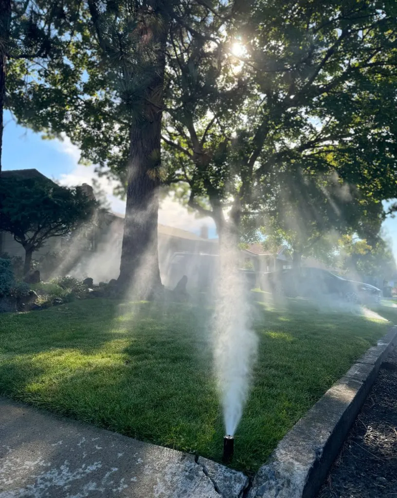 Fall Bozeman Sprinkler Blowout