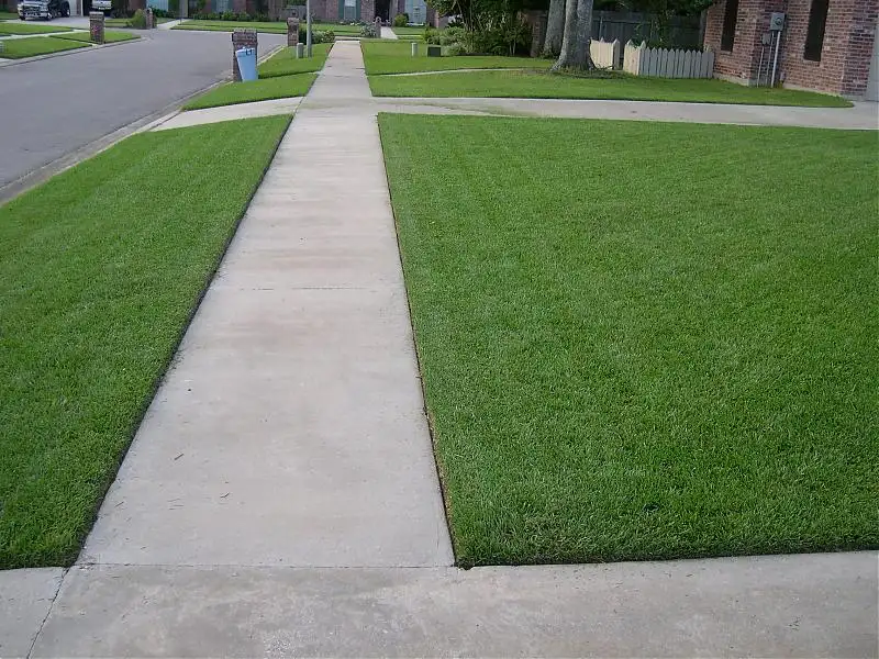 Lawn Edging Sidewalk Bozeman