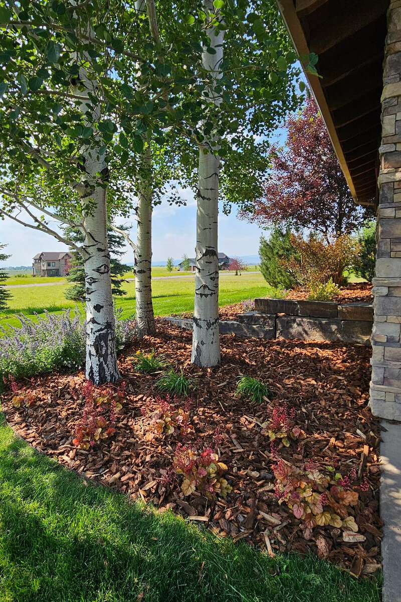 Bozeman Lanscape Installation