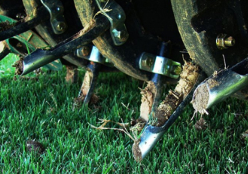 Bozeman Lawn Aeration