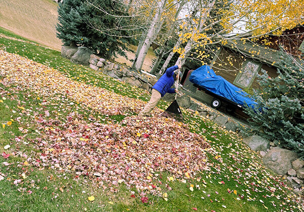 FALL CLEANUP
