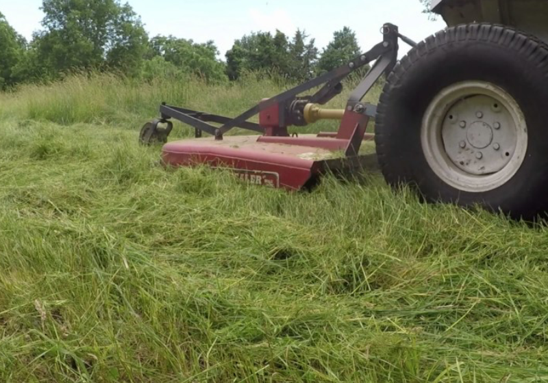 Lawn Maintenance - Native Mow