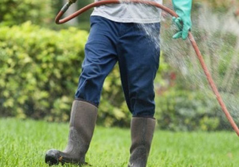 Weed Spray and Fertilization - Spray